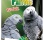 Manitoba African Parrots 15 kg